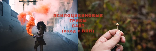 таблы Гусев