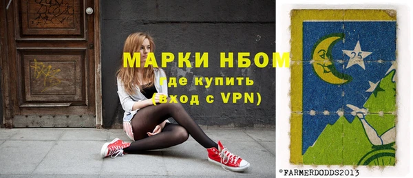 таблы Гусев